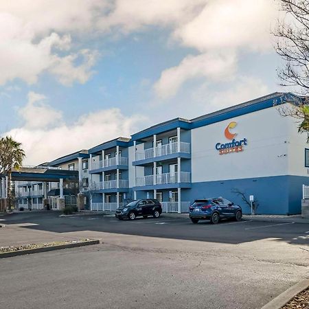 Comfort Suites Red Bluff Near I-5 Экстерьер фото
